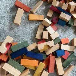 Houten Blokken Rainbow Tray Xl | 63 Stuks
