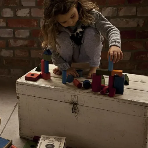 Houten Blokken Rainbow Tray | 54 Stuks