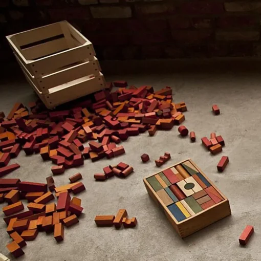 Houten Blokken Rainbow Tray | 54 Stuks
