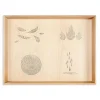 Houten Speelbak Play Box