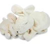 Klein Wit Konijn Knuffel Met Warmtekussen - 19,5 cm