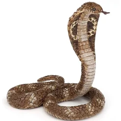 Koningscobra