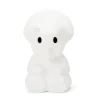 Lampje Dino Mira First Light lamp