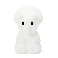 Lampje Dino Mira First Light lamp