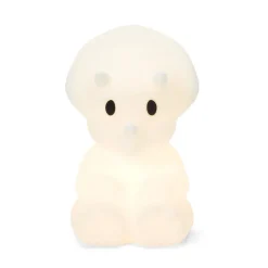 Lampje Dino Mira First Light lamp