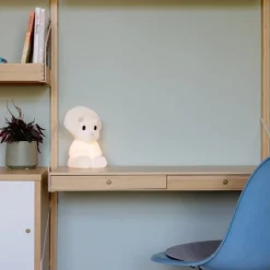 Lampje Dino Mira First Light lamp