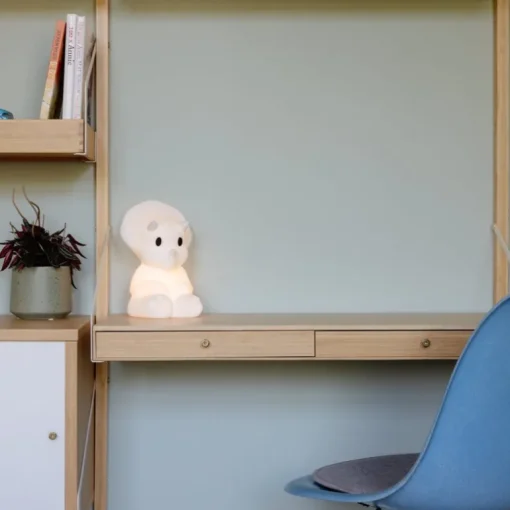 Lampje Dino Mira First Light lamp