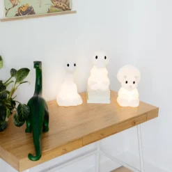 Lampje Dino Mira First Light lamp