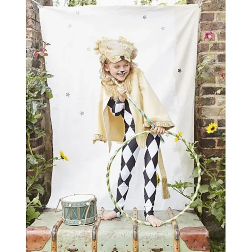 Lion Cape Dress Up