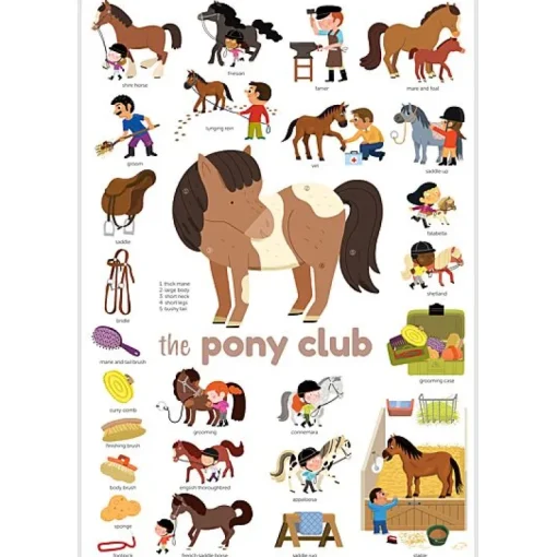 Mini Discovery Poster + 27 Stickers Pony Club | 3-8 Jaar