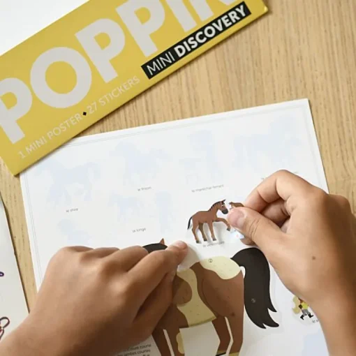 Mini Discovery Poster + 27 Stickers Pony Club | 3-8 Jaar