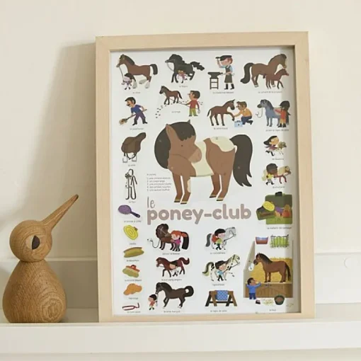 Mini Discovery Poster + 27 Stickers Pony Club | 3-8 Jaar