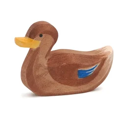 Ostheimer Houten Dier | Eend Zwemmend