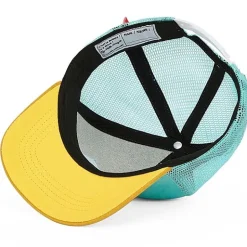 Pet Mini Agave Turquoise Jaune