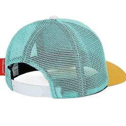 Pet Mini Agave Turquoise Jaune