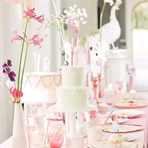 Princess Large Napkins