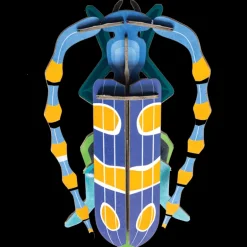 Rosalia Beetle