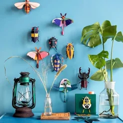 Rosalia Beetle