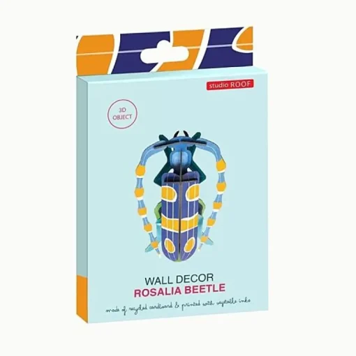 Rosalia Beetle