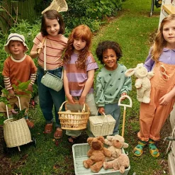 Rotan Mandje Met Deksel | Piki Basket Chalk