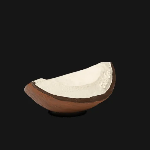 Rubberen Speeltje | Coco The Coconut