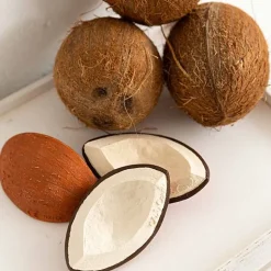 Rubberen Speeltje | Coco The Coconut