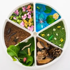 Sensorische speelbak PlayTRAY