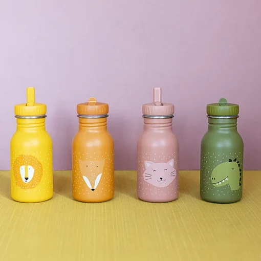 Stalen Drinkfles Mr. Dino - 350 ml