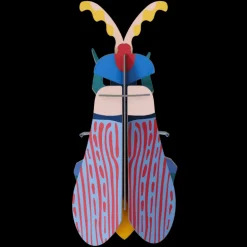 Striped Wing Beetle