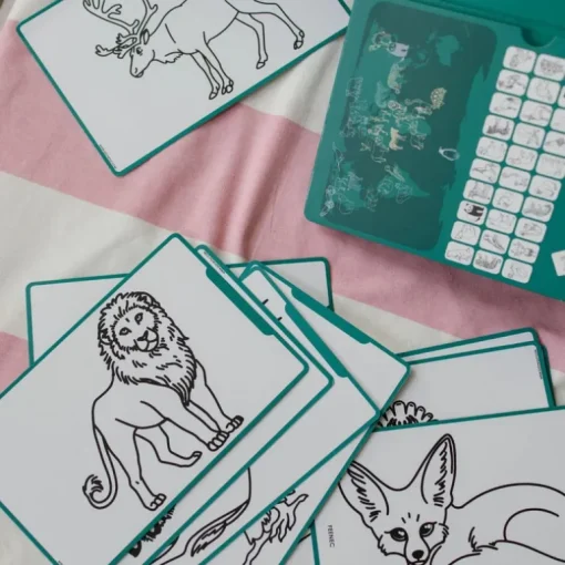 Tekentablet Kidydraw Mini - Dieren over de hele wereld