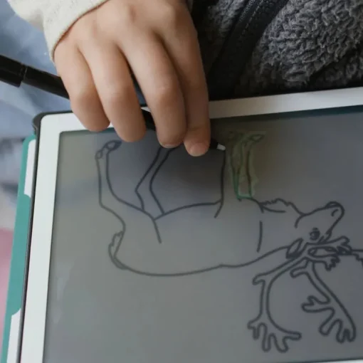 Tekentablet Kidydraw Mini - Dieren over de hele wereld