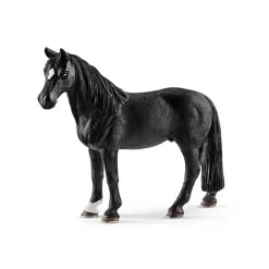 Tennessee Walker Ruin