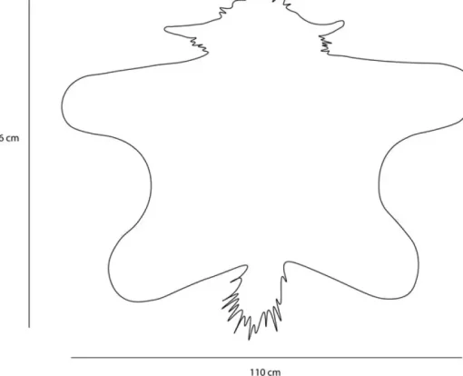 Verkleedcape Highland Cow Disguise