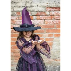 Verkleedkjurk Heks met hoed - Amethyst The Spider Witch