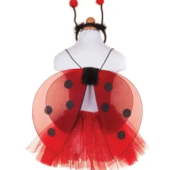 Verkleedset Glitter Ladybug