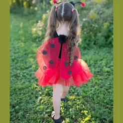 Verkleedset Glitter Ladybug