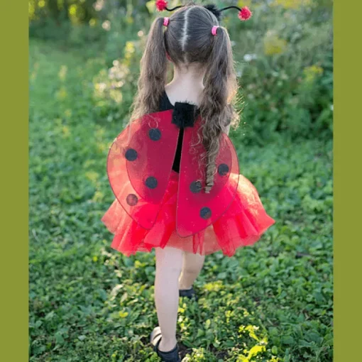 Verkleedset Glitter Ladybug