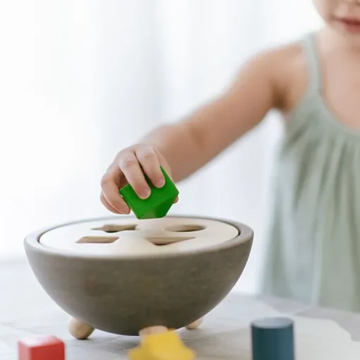 Vormensorteerder - Shape Sorting Bowl