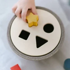 Vormensorteerder - Shape Sorting Bowl