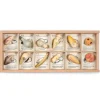 Wild - Sorteerbox met 12 natuurwezens