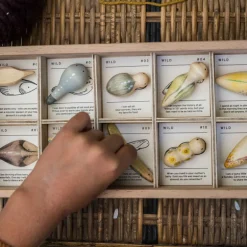 Wild - Sorteerbox met 12 natuurwezens