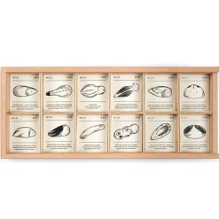 Wild - Sorteerbox met 12 natuurwezens
