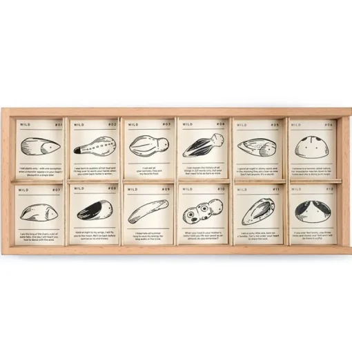 Wild - Sorteerbox met 12 natuurwezens