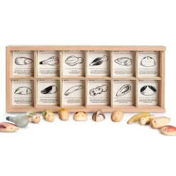 Wild - Sorteerbox met 12 natuurwezens