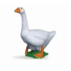 Witte Gans