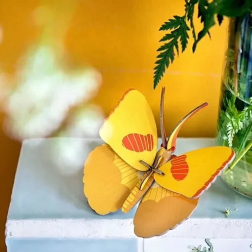 Yellow Butterfly